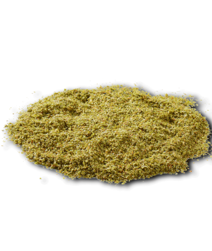 Daun Marjoram