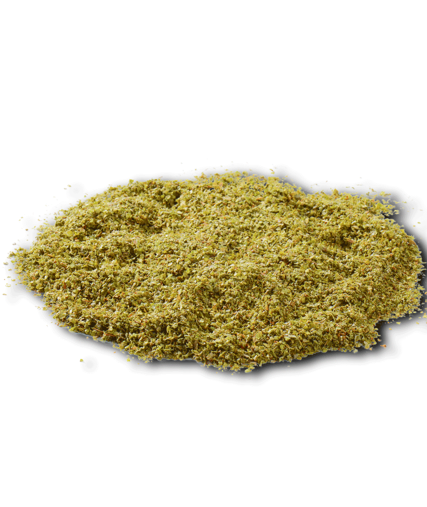 daun-marjoram