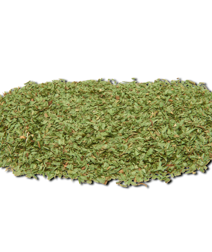 Daun Tarragon