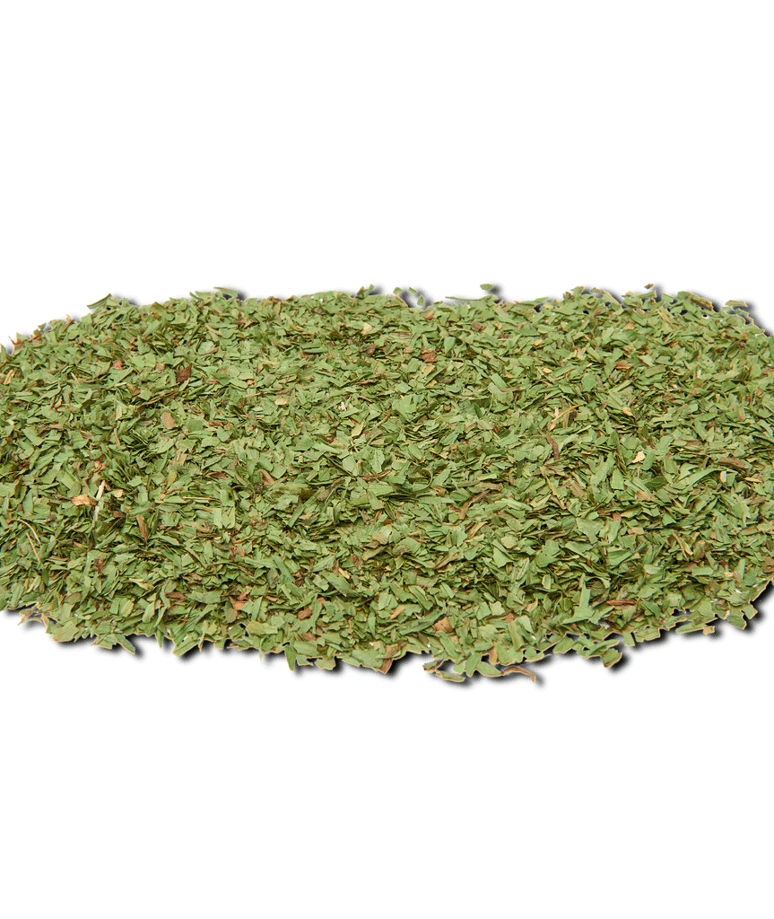 daun-tarragon